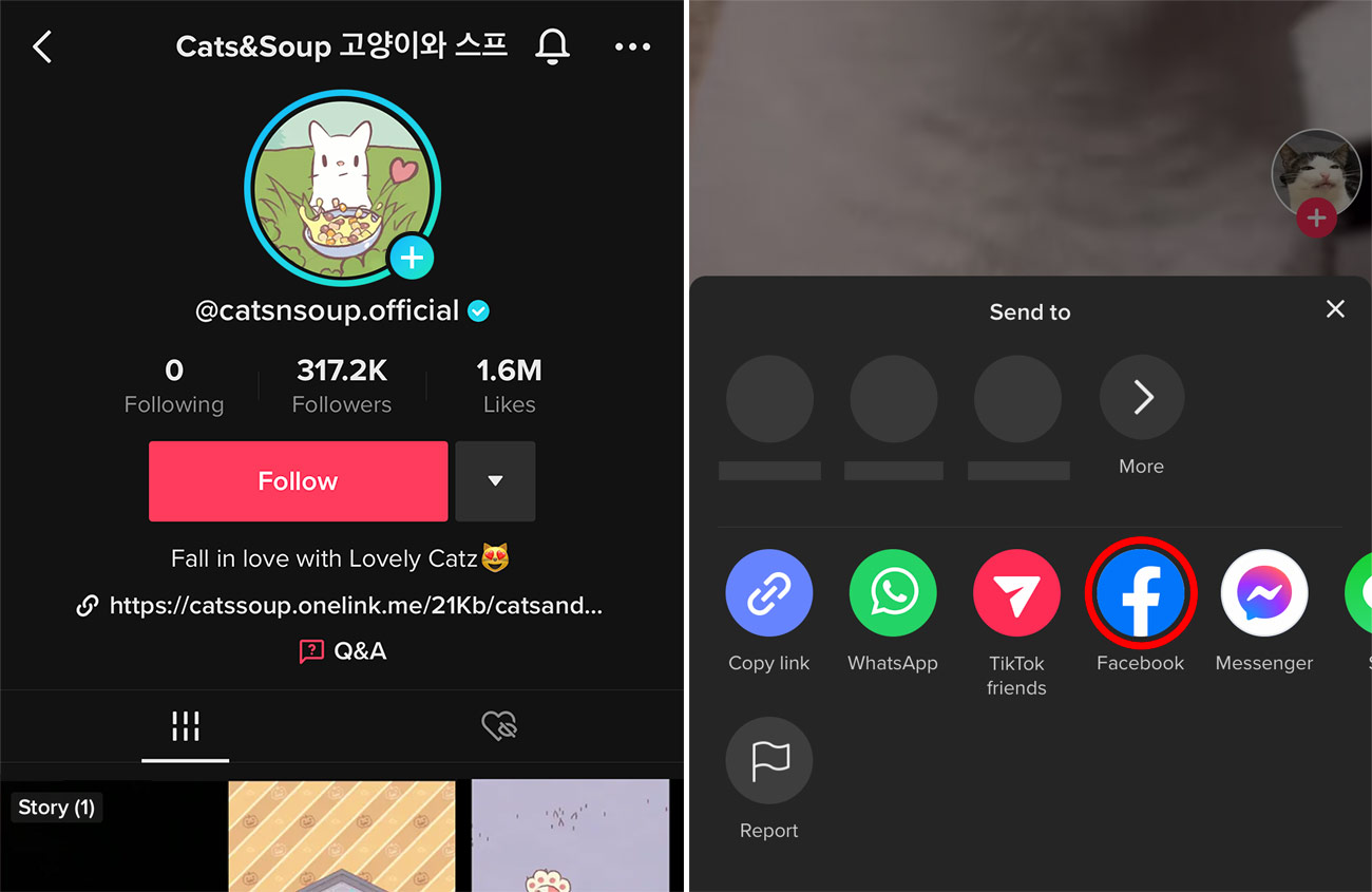 How to share TikTok stories to Facebook Instagram