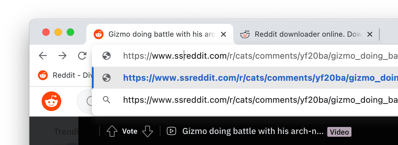 SSReddit link based video downloader