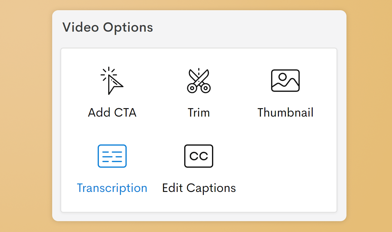 Transcription and Edit Captions options