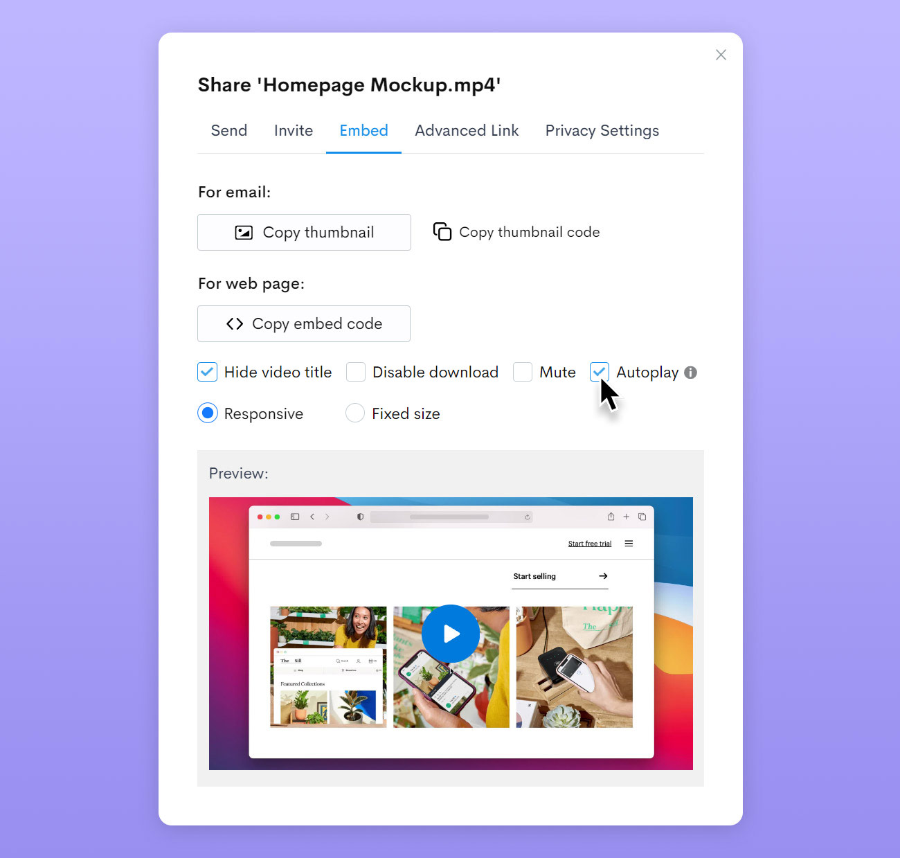 New Video Embedding Controls